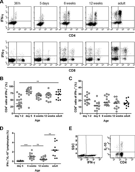 Flow Cytometric Analysis Of Cd4 And Cd8 Ifn C Producing