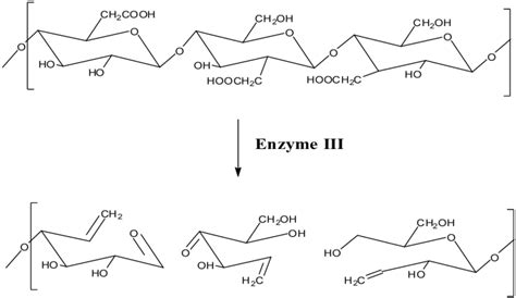 b) Enzyme III belong to class decarboxylases | Download Scientific Diagram