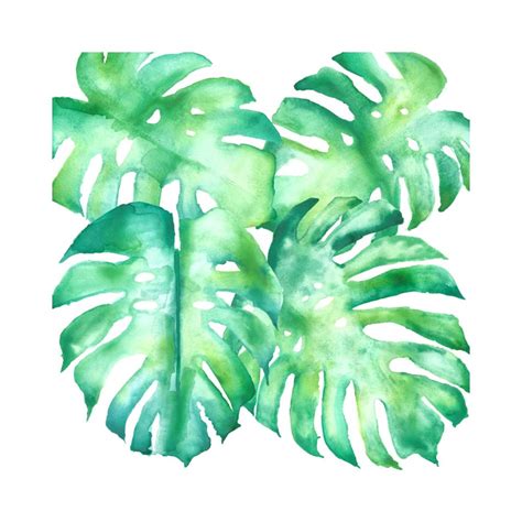 Tropical Leaves Watercolor Clip Art Digital Graphics Dpi Png