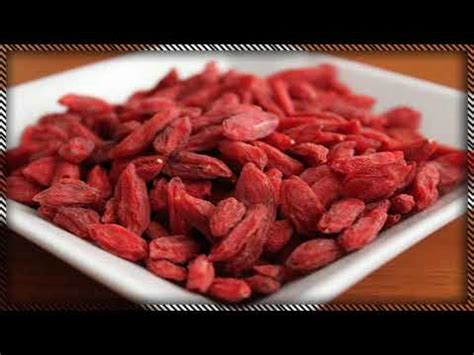 Descubre Los Beneficios Y La Forma Correcta De Comer Bayas De Goji Una