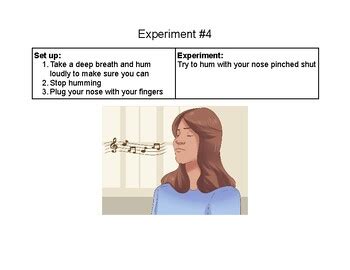 Intro Human Anatomy & Physiology 6 "experiments" by Sweet Sweet Science