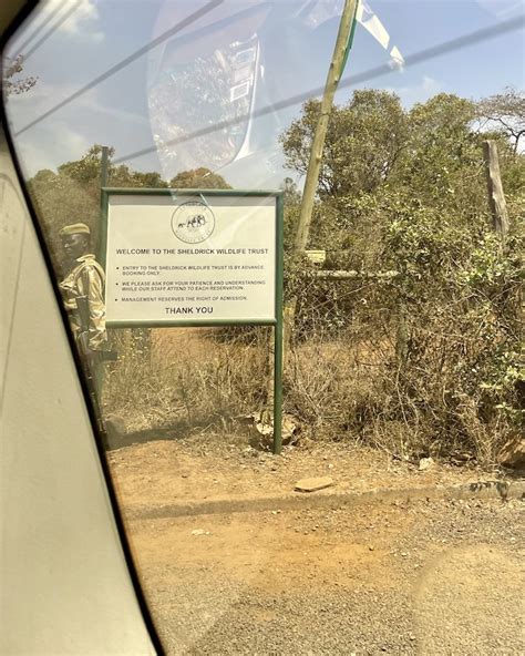 What To Expect When Visiting Sheldrick Elephant Orphanage