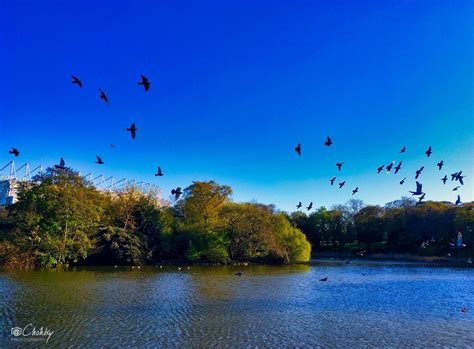 Newcastle – Castle Leazes and Leazes Park – Chohdry Photography