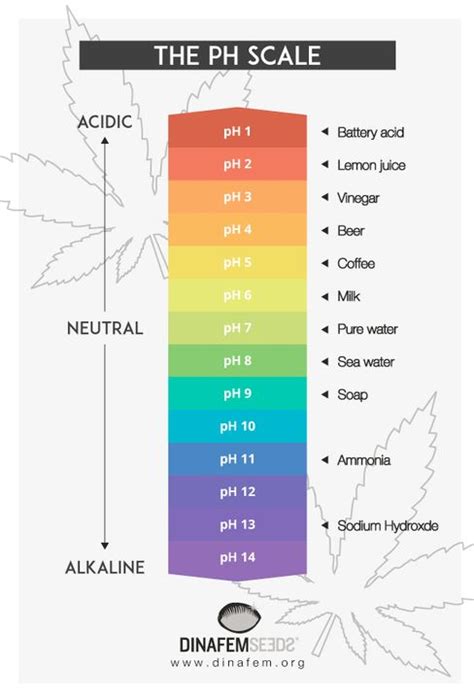 Cannabis Water Ph Chart Hot Sex Picture