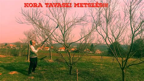 Kora Tavaszi Metsz S Youtube