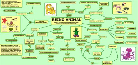 Reino Animal Mapa Mental