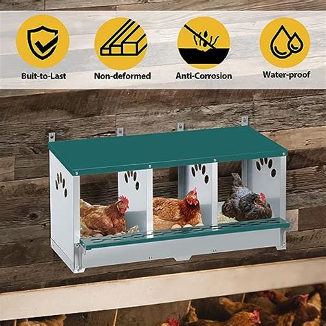 Chicken Nesting Box 3 Compartment Roll Away Nesting Box 3 Room Metal Nesting