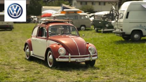 VW Bus Treffen in Güttingen legendäre Volkswagen Modelle bestaunen