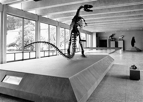 From The Archive Five Decades Of Photos From The Old Academy Of Sciences