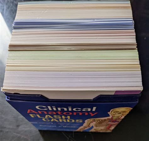 Clinical Anatomy By Alan Moore And Douglas J Gould 2013 Cards Flash