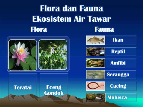 Ekosistem Air Tawar Ppt