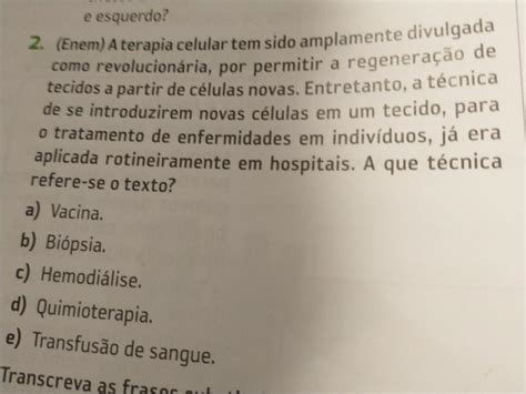 A Terapia Celular Tem Sido Amplamente