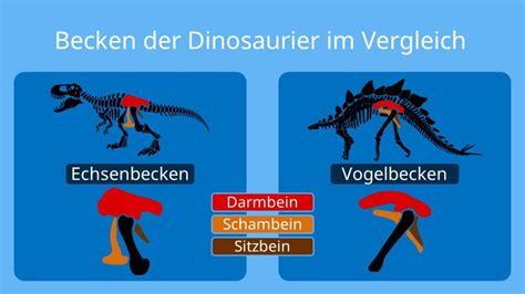 Verschiedene Dinosaurier Und Ihre Namen