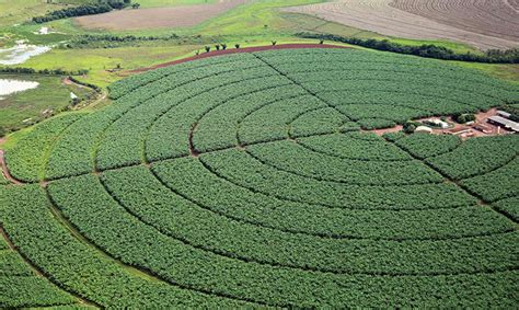 Conab Apresenta As Perspectivas Para A Agropecu Ria Na Safra