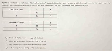 A Particular Plant Has Two Alleles That Control The Length Of Its Stem