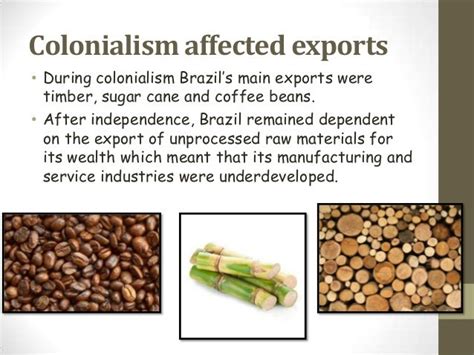 Case Study: Impact of Colonialism on Brazil (A Developing Economy)