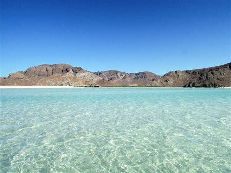 Wildlife And Beaches Of Sea Of Cortez Baja California