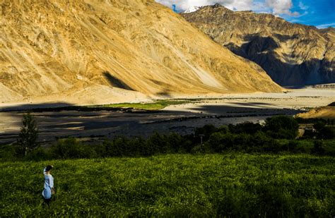 Shyok Valley Ladakh From Nubra Valley To Pangong Soul Travel India