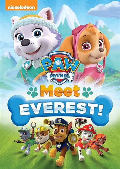 Paw Patrol Meet Skye Atelier Yuwa Ciao Jp