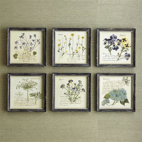 Birch Lane Pressed Flowers Wall Art & Reviews | Wayfair