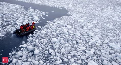 New Species Discovered: Introducing the Antarctic Strawberry Feather ...