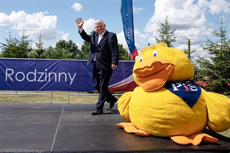 Podzia Mazowsza Pis Planuje Wybory Do Sejmiku W Miko Ajki