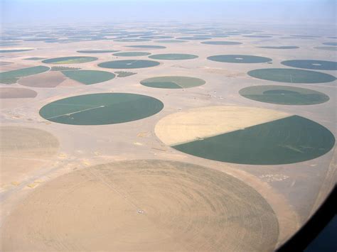 Farming in Saudi Arabia - The Borgen Project