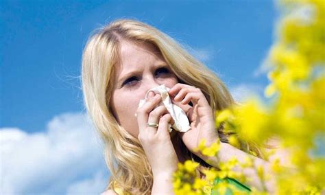 Allergia Di Primavera Come Difendersi Dentro E Fuori Casa Velvet Body