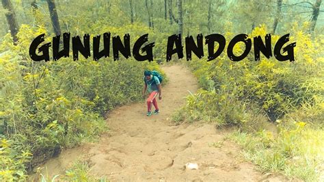 PENDAKIAN GUNUNG ANDONG 1 731 MDPL VIA BASECAMP TARUNA JAYA GIRI SAWIT