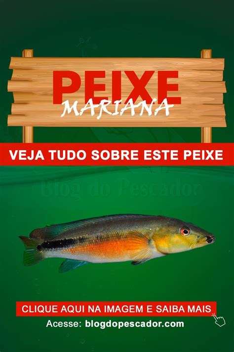 Marina Peixe Saiba Tudo Sobre Esta Esp Cie Peixes Peixes De Agua