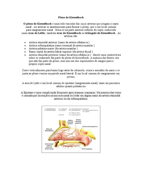 plexo de kiesselbach