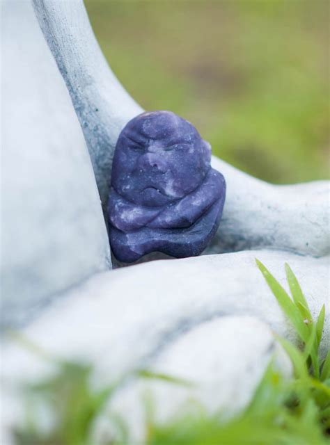 Lepidolite Grumpy Stone Worry Stones And Grumpy Stones Village Rock