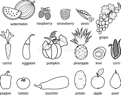 Coloring Page Big Set Of Different Fruits And Vegetables Stock Vector