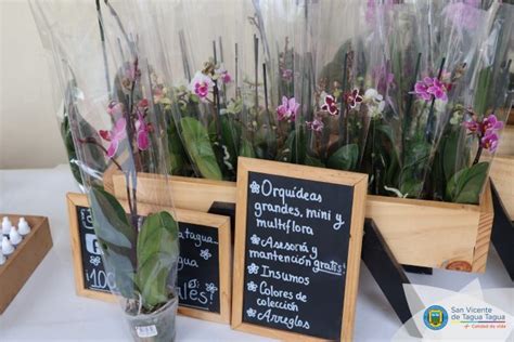 Feria De Flores Y Plantas Ya Est Funcionando En Cercan As Del Monstruo