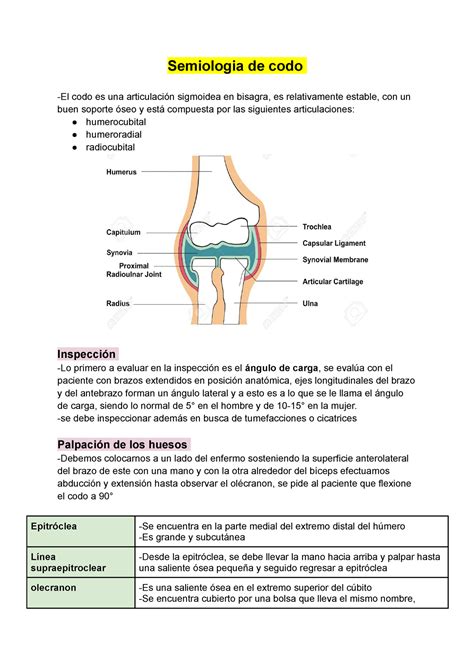 Semiologia codo Resumen Exploración física de columna vertebral y