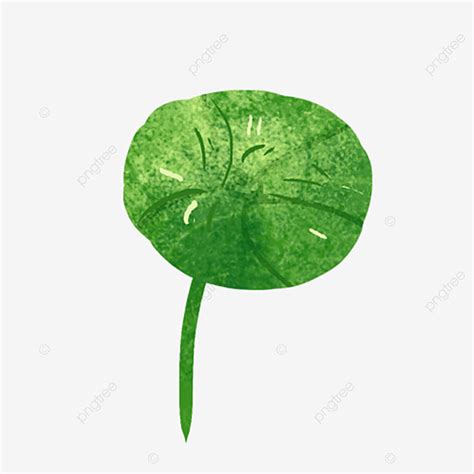 Green Lotus Leaf White Transparent A Green Lotus Leaf One Piece