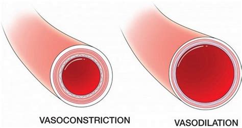 What is vasoconstriction ? definition, hypoxic and peripheral, causes