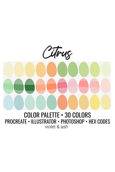 Citrus Procreate Palette Color Chart Photoshop Swatches Etsy Color Schemes Colour Palettes