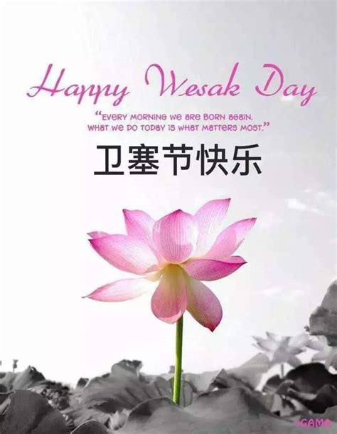 Malaysia Vesak Day 2022