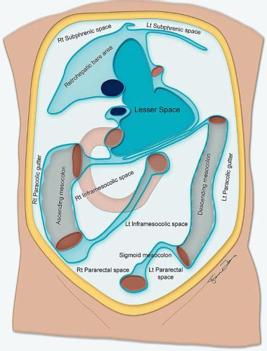 Paracolic Gutter And The Hepatic Flexure