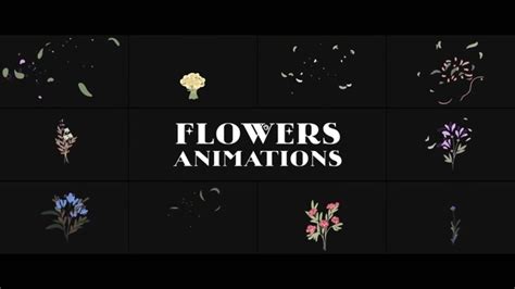 D Animations Templates Royalty Free Page Storyblocks