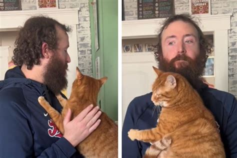 Mann Rasiert Bart Und Haare Kurz Seine Katze Ist Alles Andere Als