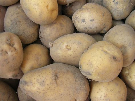 picture food potato vegetable nutrition tasty meal organic