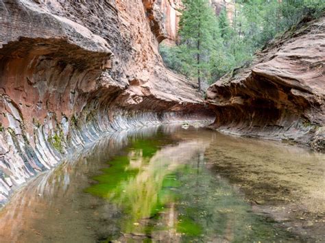 Complete Guide To Hiking West Fork Trail In Sedona AZ