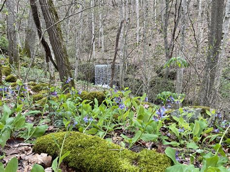 Hiking West Virginia Meet The Countrys First Statewide Waterfall Trail Territory Supply