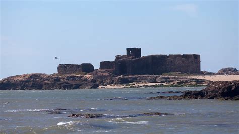 Discover Essaouira Top Activities Hidden Gems For Summer