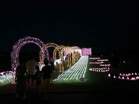 長岡市にある越後丘陵公園のサマーナイトプレゼンツのイルミネーションを観てきたよ にいがた旨いめし情報