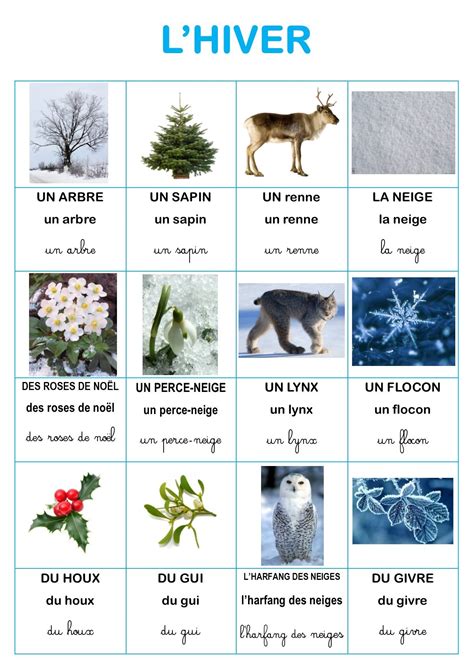 Imagier Nature De L Hiver D Elisa Swaney French Language Teaching