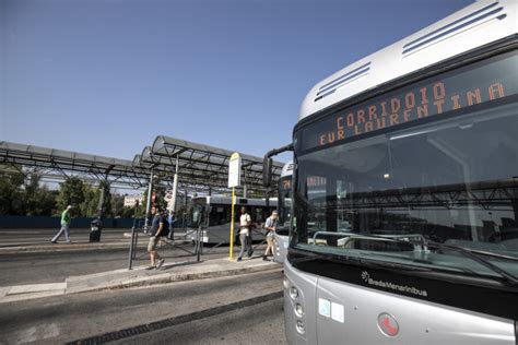 Filobus A Roma Costo E Non Risorsa Per Utilizzarli Serve Un