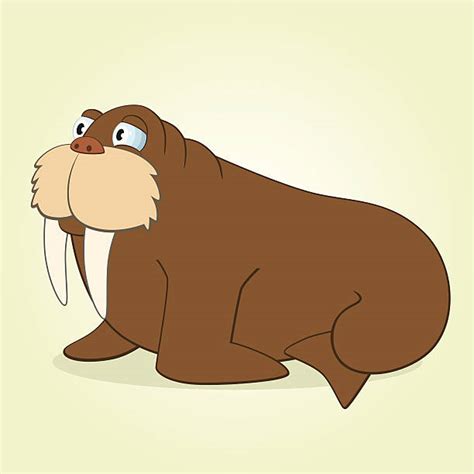 Walruses Cartoon Stock Photos Pictures And Royalty Free Images Istock